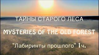 Загадочные лабиринты прошлого. Таинственная находка в лесу / MYSTERIES OF THE OLD FOREST