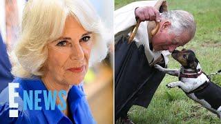 Queen Camilla Mourns Death of Her and King Charles III’s Beloved Dog Beth | E! News