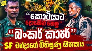 කොටියාට දොඹෙන් නෙලූ බංකර් කාපර් SF චන්ද්‍රාගේ බිහිසුණු මතකය | WANESA TV