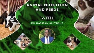 Animal nutrition and feeds