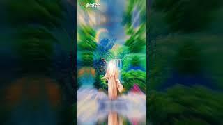 سوره کوثر قرائت استاد عبدالباسط عبدالصمد