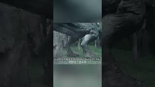 T-REX SNEAK ATTACK! Oh-ho! Big teeth coming! | Snake 3 | YOUKU MONSTER MOVIE