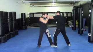 Goytia's Martial Arts - Chicago - Tip of the Day -- 16/Split Sector