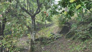 LIVE - Appennino sotto al diluvio