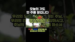오늘의기도240218 #오늘의기도 #따라하는기도 #매일기도 #듣는기도