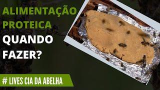 ALIMENTAÇÃO DAS SUAS ABELHAS - QUANDO FAZER?