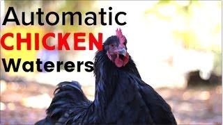 Automatic Chicken Waterers - and a Giveaway