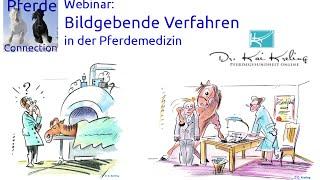 Bildgebende Verfahren in der Pferdemedizin / Pferde Connection Webinar