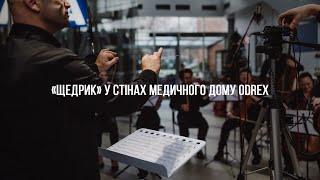 «Щедрик» в стінах Медичного дому Odrex