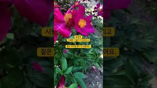 길동 생태공원 #국내여행 #강동구청 #길동 #길동생태공원 #둔촌동프라자아파트 #올림픽파크포레온