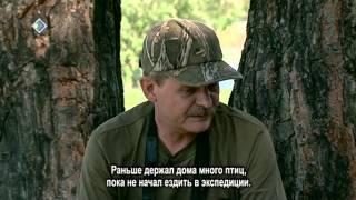 «Миян йöз». Сергей Кочанов. 11 июня 2015