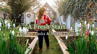 Winter Update: Storm Recovery, Beekeeping, and Spring Prep in the Cottage Garden