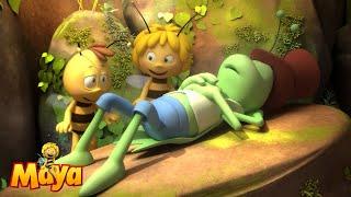 What should I do now? - Maya the Bee  - FULL COMPILATION