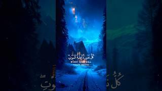 ﴿ يَا عبادِي الذِين آمنُوا إِن ارضِي وَاسِعَة ﴾ سوره العنكبوت، عبدالرحمن مسعد #ارح_قلبك #قران_كريم