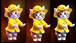 ️Super Funny Cat Dancing Video #viralvideos #Funnycatvideo #dancingcat #Catlovers @furry-cornerz