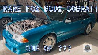 How Rare is This Fox Body Cobra?