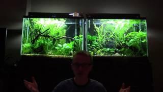 The Balanced Aquarium - Waterchanges are key!