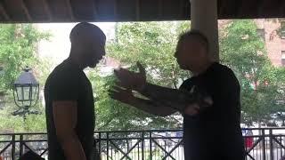 Ip Ching Wing Chun. Dawadah & Adie Gray