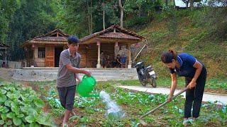 The simple life of the KONG family: Growing vegetables and building a new stove