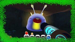 #8SlimeRancher⊙Хищный слайм