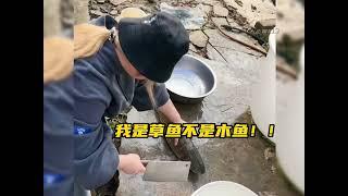 大王爱搞笑动物的无语瞬间#动物的迷惑行为 #不干人事 #倒霉动物 #看一遍笑一遍  part5