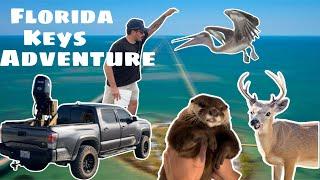 Pure Florida Sh!t (w @ChandlersWildLife & @TheCritterCult )