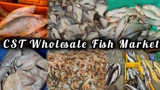 CST Fish Market Mumbai | Wholesale Fish Market Cst |