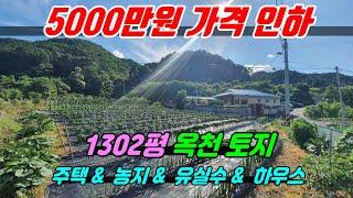 753 [옥천 주택&토지] 5000만원 인하된 1302평토지로 대청호 부근에 탁트인 전망에 햇살 잘드는 주택과 넓은 밭, 많은 유실수들이 있고 대전과 가깝고 농지원부 가능한 매물임