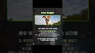  “이 샷, 왜 이렇게 강렬할까?” 로우앵글을 알아보자