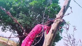 Vivek.singh sultanpuria