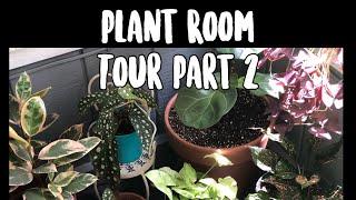 Plant Room Tour | July | House Plants | The Thrifted Planter