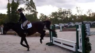 Ashley Bent & Ghandi - Open Fences - Goucher IHSA - October 17, 2015