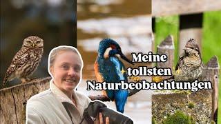 Meine schönsten Naturbeobachtungen (Teil 1) - Warum Naturfotografie das SCHÖNSTE Hobby ist🩵