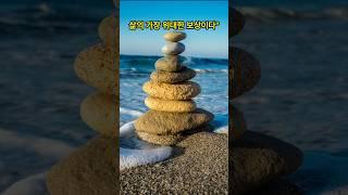 나이 들수록 더 빛나는 사람 – 쇼펜하우어 편
