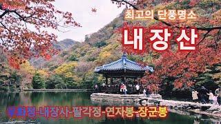 최고의 단풍명소(안보면 후회합니다^^)(4K)| Naejangsan Mountain | Life in Korea Vlog  |Travel in Korea