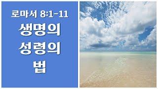 [생명의 삶 큐티]생명의 성령의 법/로마서8:1-11 20200807 #로마서 #큐티 #QT #생명의삶