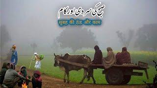 Early Morning In Village Punjab||Most Beautifull Village Life In Pakistan||Daily Rountine Work