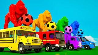 Wheels on the Bus + Five Little Monkeys Song | Gorillas & Soccer Balls | Nursery Rhymes & Kids Songs