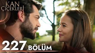 Kan Çiçekleri 227. Bölüm