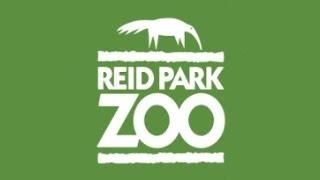 Reid Park Zoo Full Tour - Tucson, Arizona