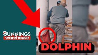 Selling dolphin steaks at bunnings 