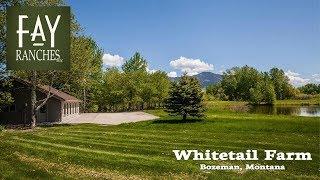 SOLD | Whitetail Farm | Bozeman Montana Property For Sale | Gallatin River Fishing