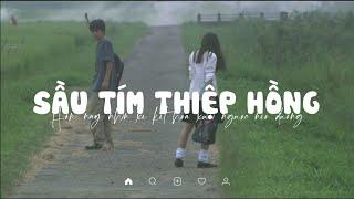 Sầu Tím Thiệp Hồng, Lời Tỏ Tình Ong Bướm, Gõ Cửa Trái Tim | Playlist Nhạc Bolero Lofi Chill KProx 16