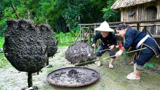 Dwarf Family Primitive Life: Harvesting Ant Eggs for Baking and Gathering Bamboo for Fence Building