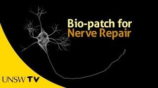 Bio-Patch for Nerve Repair