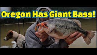 Oregon Bass Kayak Fishing PRESPAWN March 2024 I Catch a 6 1/2 Pound Bass with Rudy!