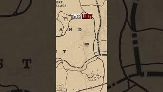 3 SECRET Loot Location In RDR2 #rdr2 #reddeadredemption