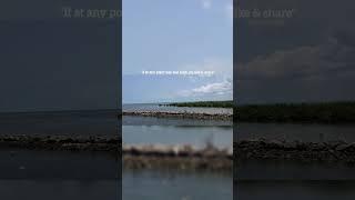 Soothing Sea Breeze  | Ambient Flute & Nature | RGOLD Shorts| #shorts #nature #relax #meditation