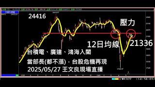 台積電、廣達、鴻海入閣當部長(都不漲)，台股危機再現  動態自選，觸發置頂，音效通知，手刀進場  散戶的AI就是我 2025/05/27「股市永勝」王文良 15:30 精彩直播