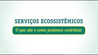 O que são Serviços Ecossistêmicos? Conexão Mata Atlântica RJ